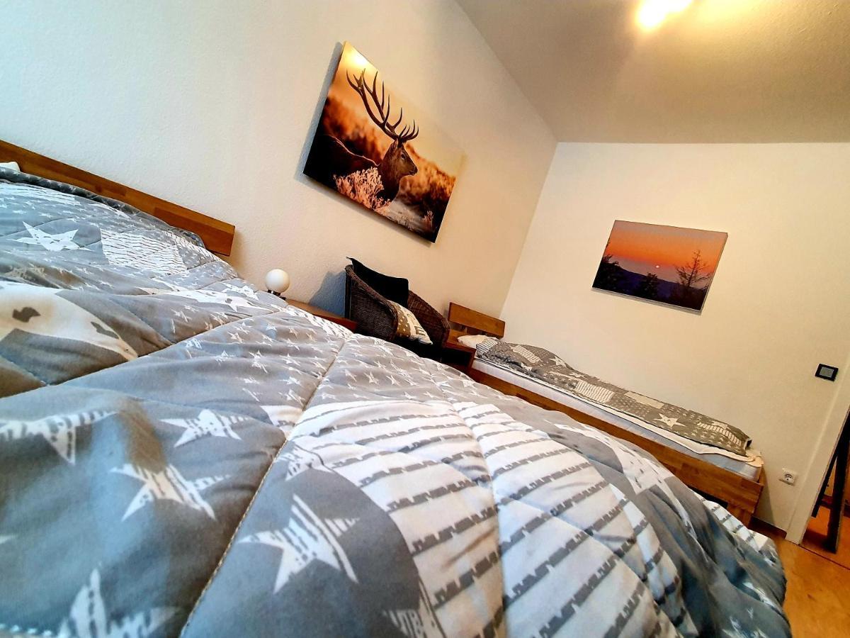 Apartment Anke Braunlage Εξωτερικό φωτογραφία